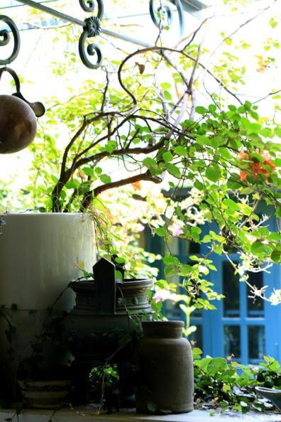 Polygon Art And Homestay Hanoi Exteriör bild