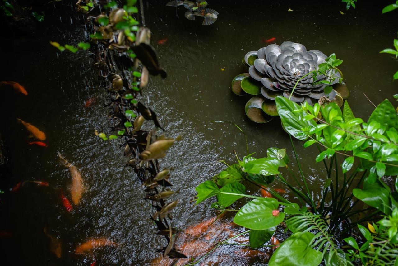 Polygon Art And Homestay Hanoi Exteriör bild